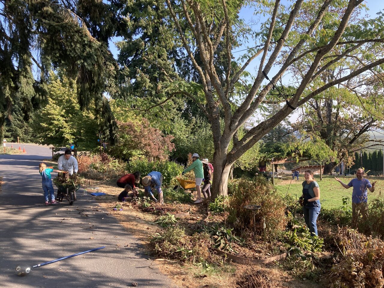 Residents and children working together on a garden bed under a large tree.
